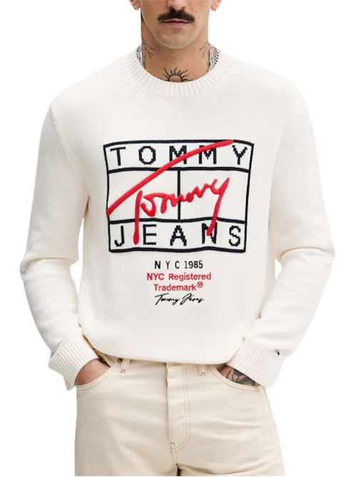 Maglioncino con grafica Tommy Jeans | DM0DM22401YBH